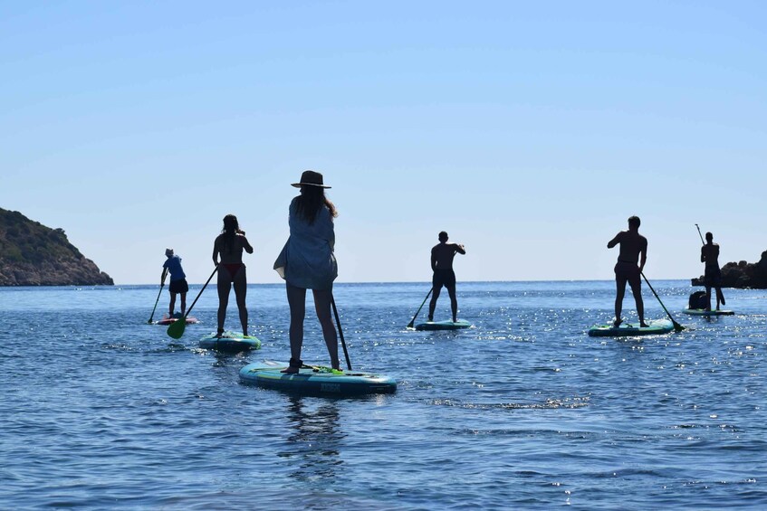 Picture 8 for Activity Golfo Aranci: Dolphin Watching SUP Paddleboard Tour