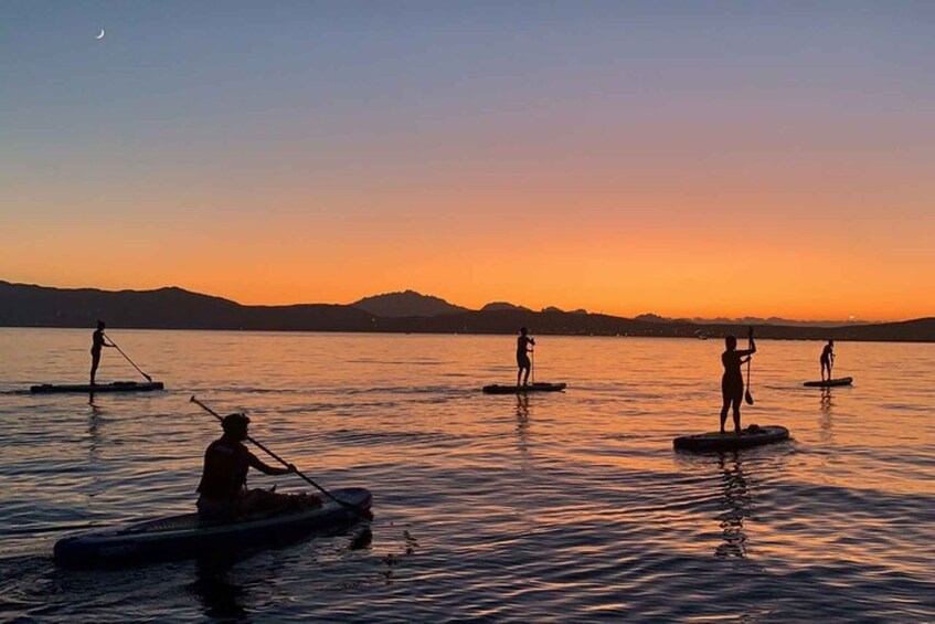 Picture 6 for Activity Golfo Aranci: Dolphin Watching SUP Paddleboard Tour