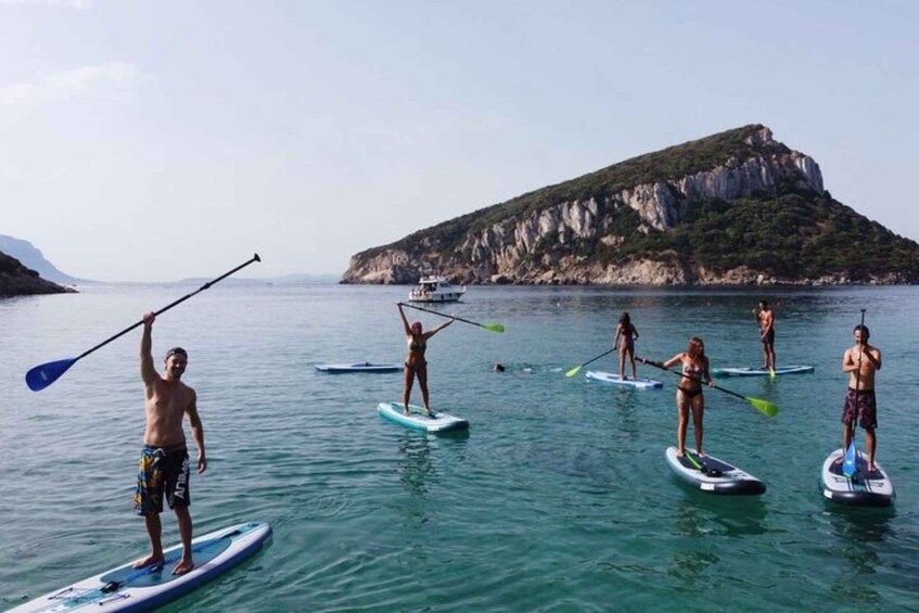 Picture 5 for Activity Golfo Aranci: Dolphin Watching SUP Paddleboard Tour