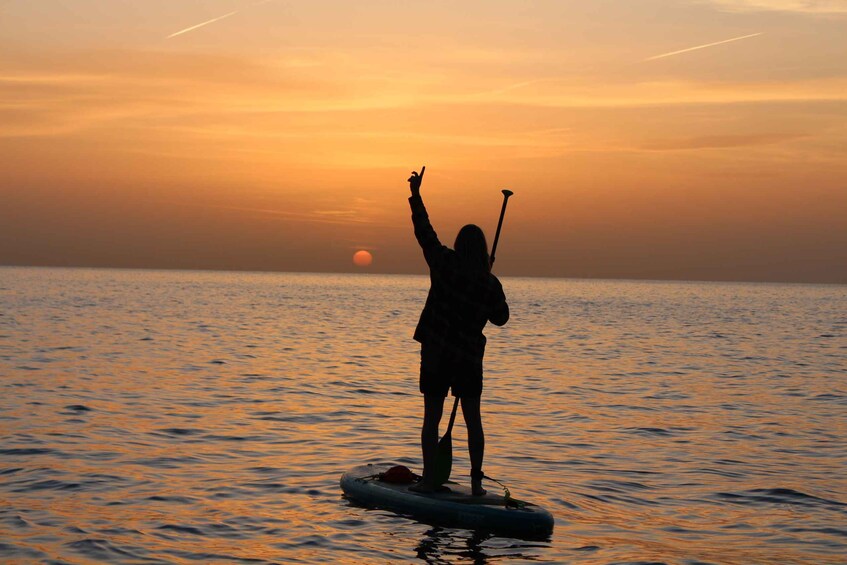 Picture 2 for Activity Golfo Aranci: Dolphin Watching SUP Paddleboard Tour