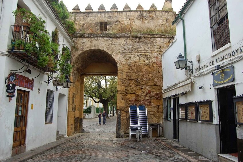 Picture 2 for Activity Cordoba: Electric Bike Tour