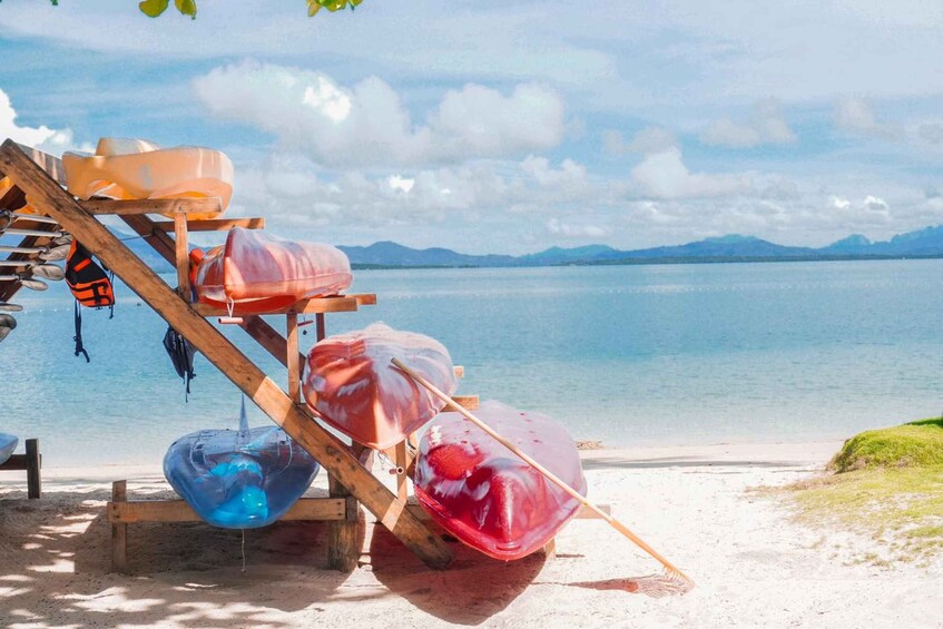 Picture 3 for Activity Puerto Princesa: Cowrie Island Guided Day Tour with Meal