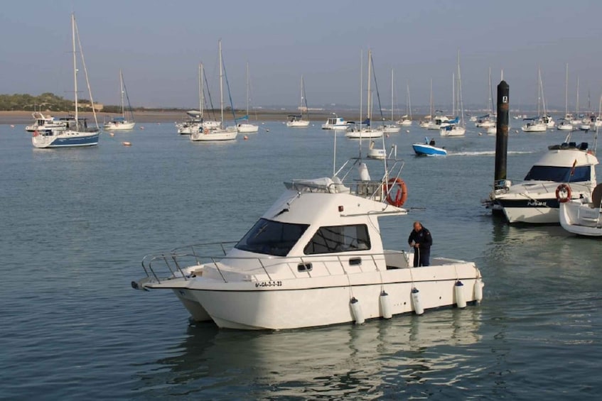 Cadiz: Private 2-Hour Catamaran Rental with Personal Captain