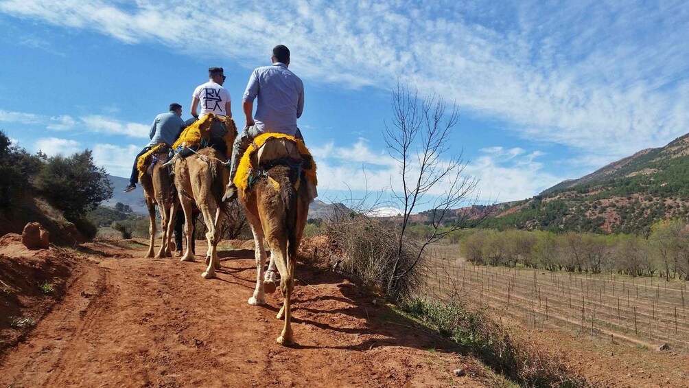 From Marrakech: Atlas Mountains 45-Minute Horseback Ride