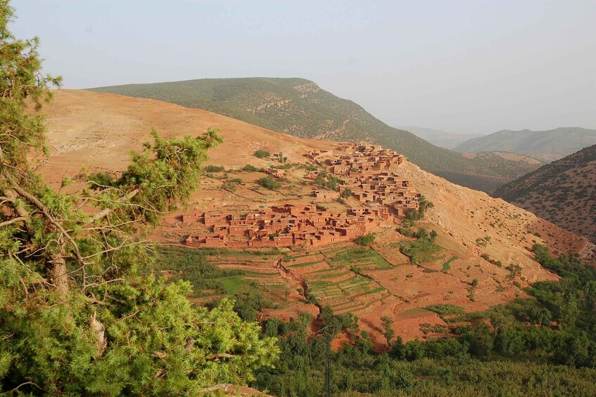 Picture 3 for Activity From Marrakech: Atlas Mountains 45-Minute Horseback Ride