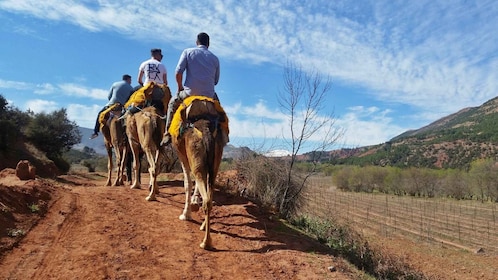 Från Marrakech: 45 minuters tur på hästryggen i Atlasbergen