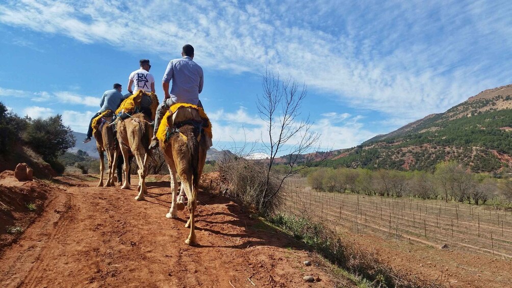 From Marrakech: Atlas Mountains 45-Minute Horseback Ride