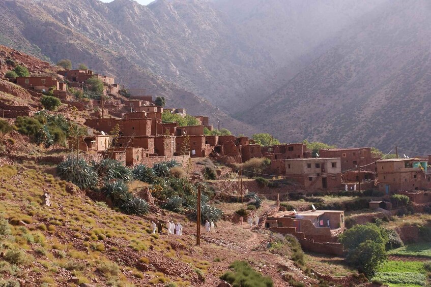 Picture 1 for Activity From Marrakech: Atlas Mountains 45-Minute Horseback Ride