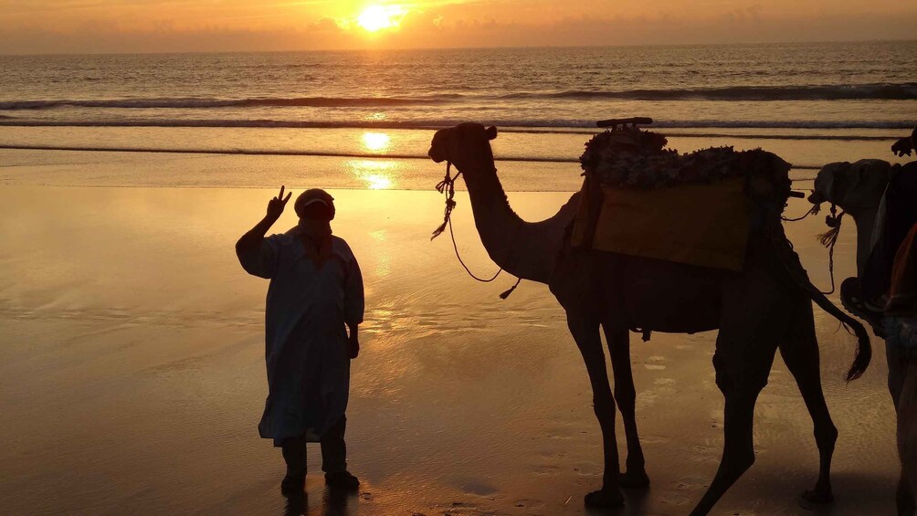 Picture 2 for Activity Essaouira: One Hour Dromedary Ride