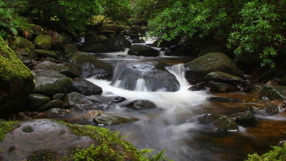 Picture 7 for Activity From Cork: Ring of Kerry Guided Day Trip