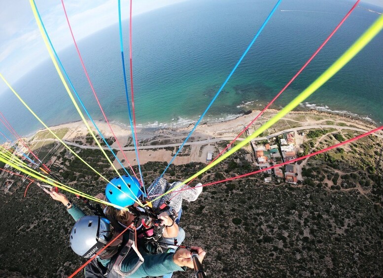 Picture 8 for Activity Alicante and Santa Pola: Tandem Paragliding Flight