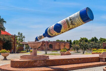 Private Tour zur Tequilera Corralejo und der archäologischen Zone