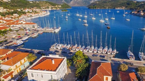 Depuis Céphalonie : Excursion d'une journée sur l'île d'Ithaki avec arrêt b...