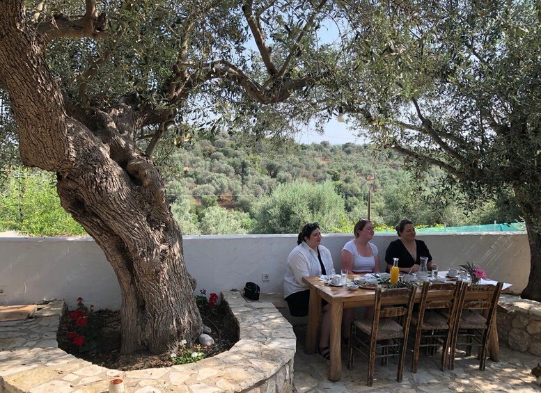 Picture 9 for Activity Olive Grove Tour & Olive Oil Tasting and Lunch in Messinia