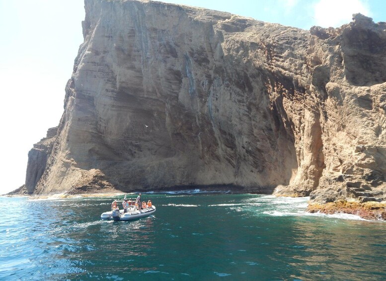 Picture 1 for Activity Snorkeling Wildlife in Terceira Island