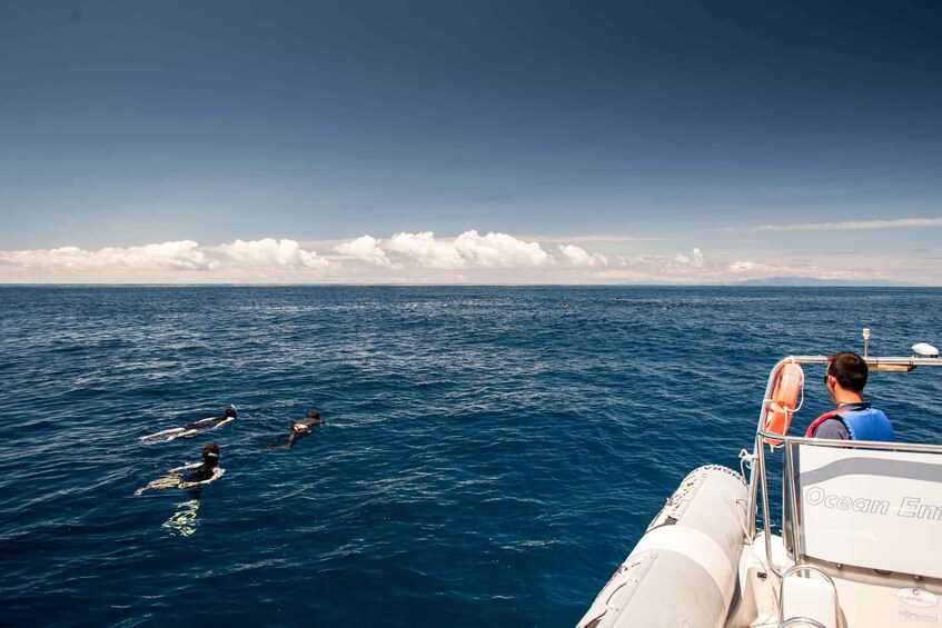 Picture 3 for Activity Snorkeling Wildlife in Terceira Island