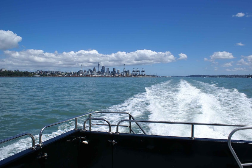 Picture 1 for Activity Auckland: Tikapa Moana Whale and Dolphin Wildlife Cruise