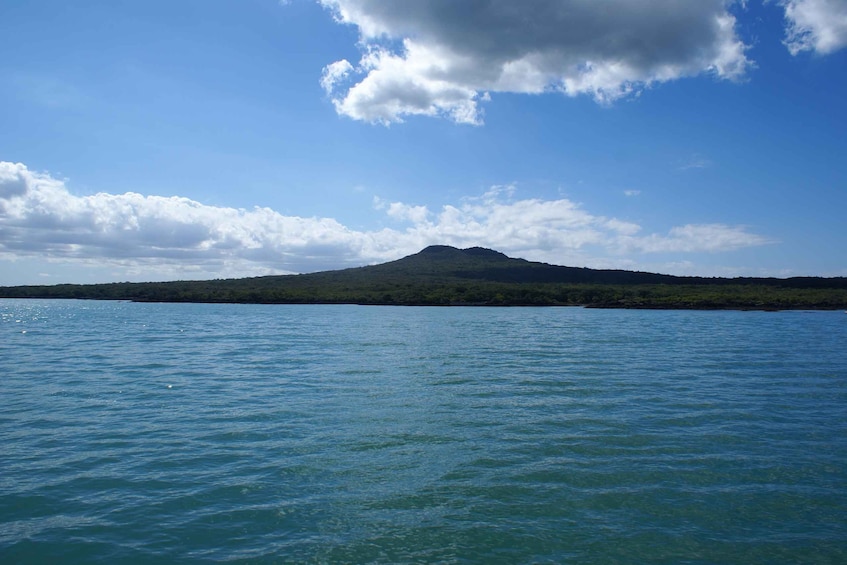 Picture 5 for Activity Auckland: Tikapa Moana Whale and Dolphin Wildlife Cruise