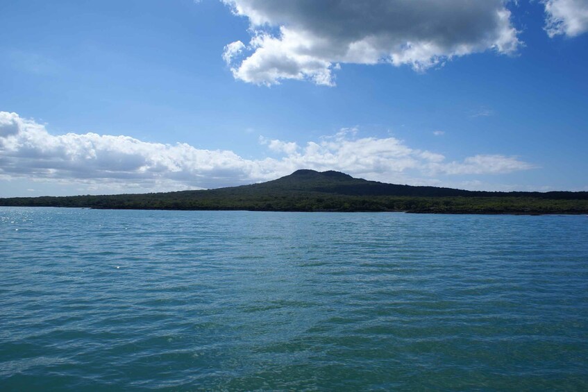 Picture 4 for Activity Auckland: Tikapa Moana Whale and Dolphin Wildlife Cruise