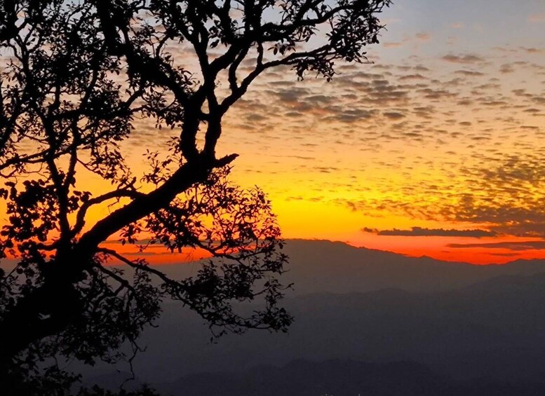 Chiang Mai Sunset Point,Wat Pha Lat,Wat Doi Suthep,Wat Umong