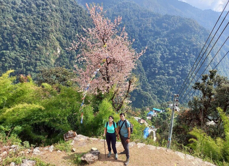 Picture 4 for Activity Pokhara: 5-Day Annapurna Base Camp Trek and Hot Springs