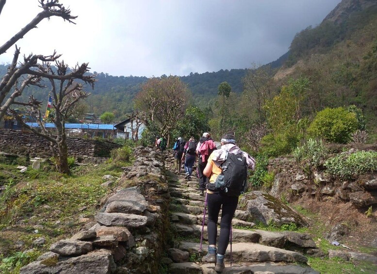 Picture 3 for Activity Pokhara: 5-Day Annapurna Base Camp Trek and Hot Springs