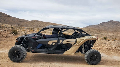 拉斯维加斯：肾上腺素山 UTV 体验