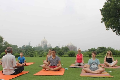Yoga Tour In The Dhed of Taj by Certified Instructor in Agra