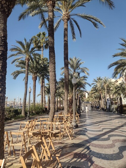 Picture 5 for Activity Alicante: City Highlights Walking Tour with Drinks