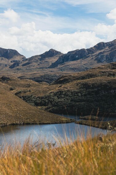 Picture 5 for Activity Full Day Cajas National Park