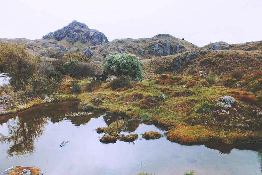 Picture 6 for Activity Full Day Cajas National Park