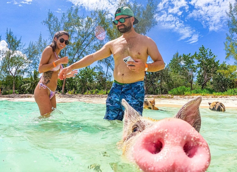 Picture 7 for Activity Nassau: Sun Cay and Swimming Pigs Boat Trip with Lunch