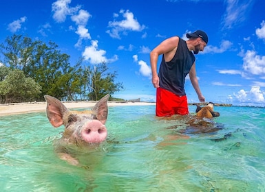 Nassau Perjalanan Perahu Sun Cay dan Babi Berenang dengan Makan Siang