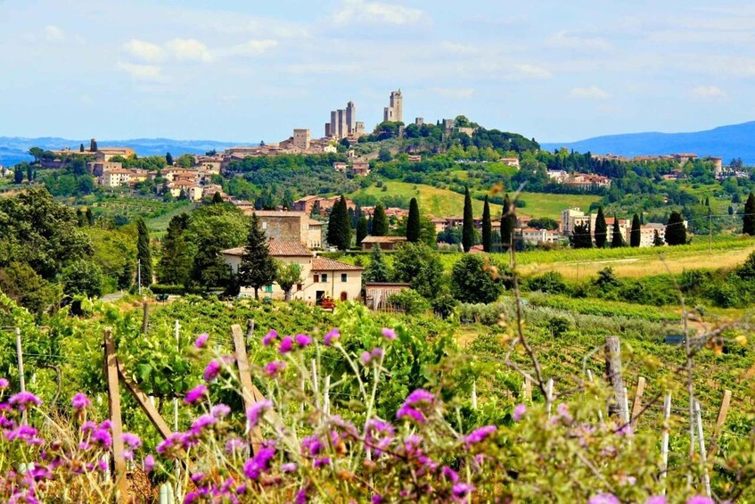 Picture 1 for Activity Tuscany: 3-Town Tour with Lunch and Wine Tasting