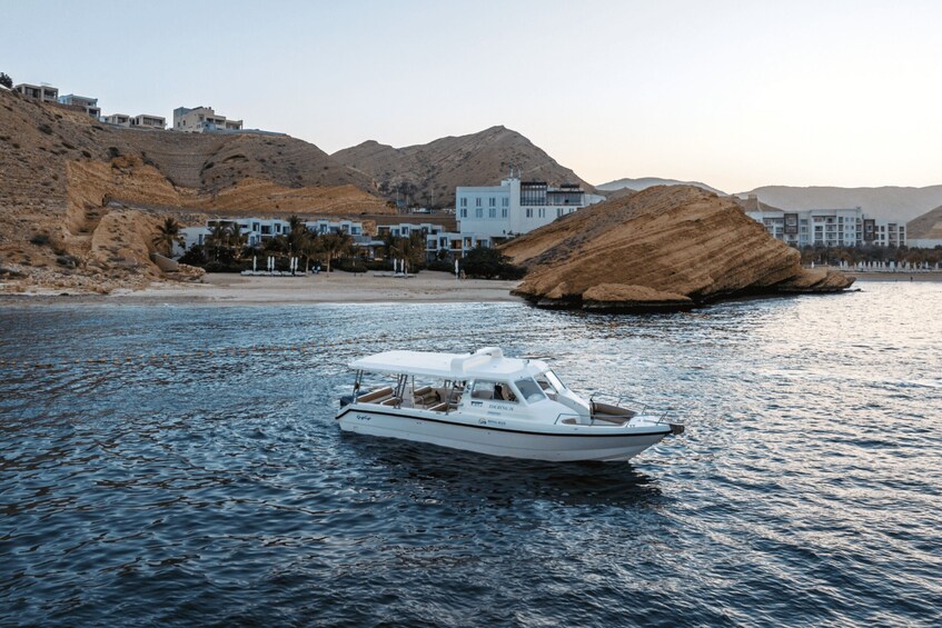 Picture 5 for Activity Muscat: 3 Hours Dolphin Watching and Snorkeling Tour