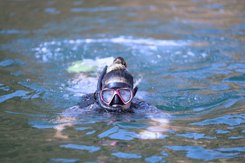 Picture 1 for Activity Muscat: 3 Hours Dolphin Watching and Snorkeling Tour