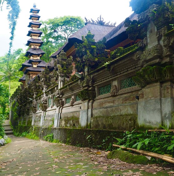 Picture 4 for Activity Ubud's Campuhan Ridge Walk: A Self-Guided Audio Tour