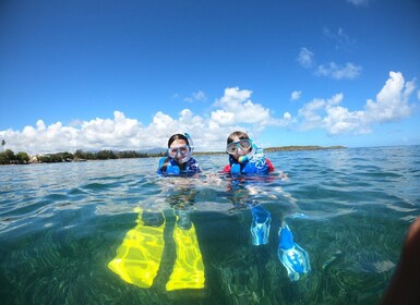 Snorkeling Lessons & Interactive Experience with snacks