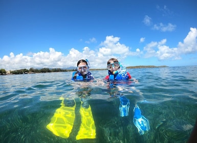 Snorkeling Lessons & Interactive Experience with snacks