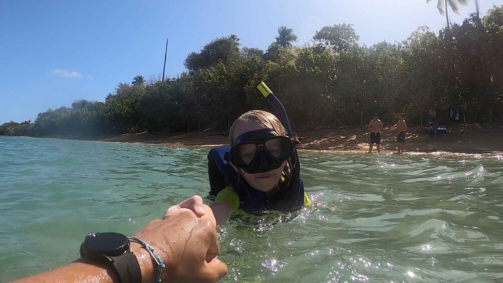 Picture 5 for Activity Snorkeling Lessons & Interactive Experience with snacks