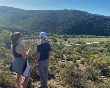 Klein Karoo - Nature Walk with a Picnic