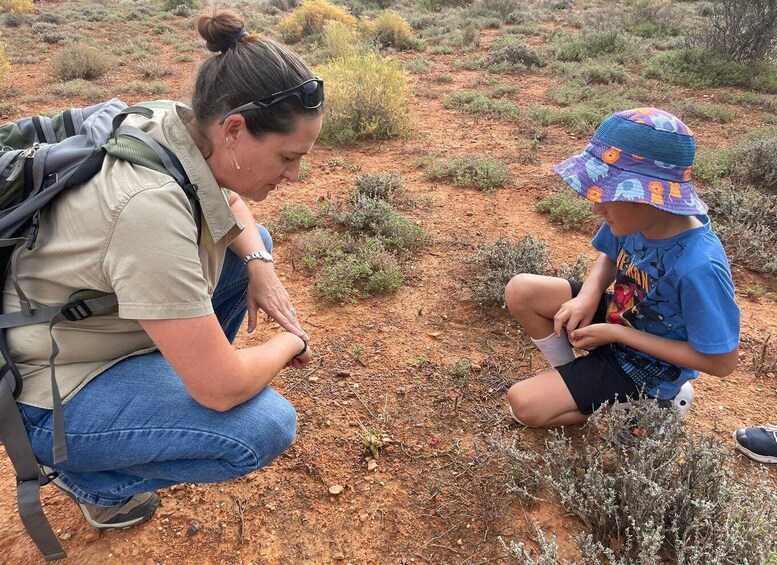 Picture 6 for Activity Klein Karoo - Nature Walk with a Picnic