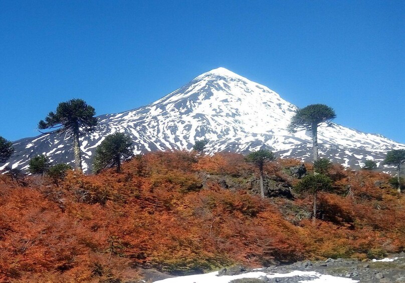 Ascent to Lanin volcano, 3,776masl, from Pucón