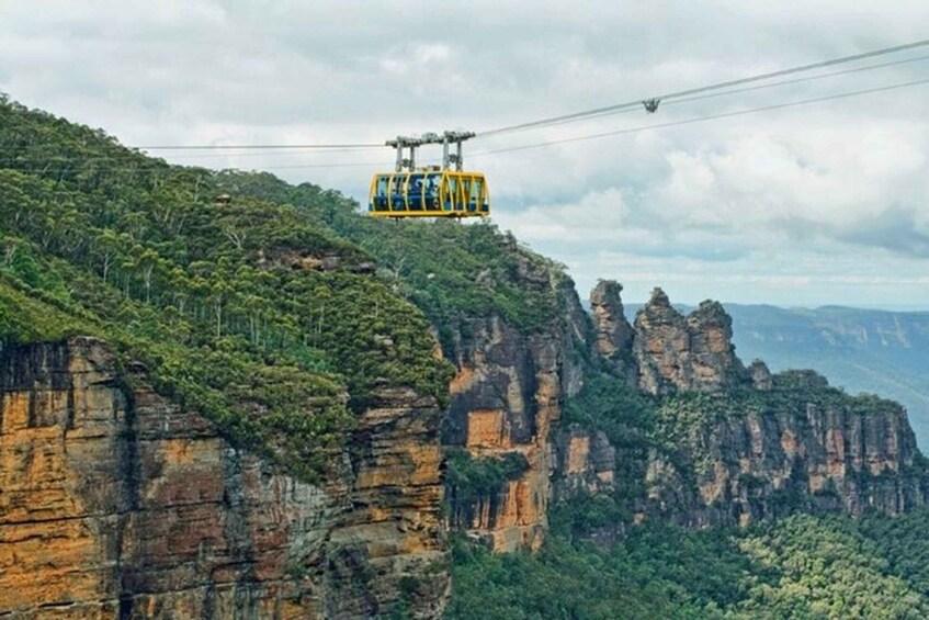 Picture 1 for Activity PRIVATE Featherdale Zoo Blue Mountains Scenic World Tour