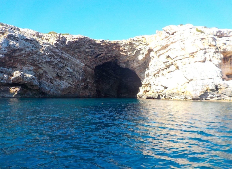 Picture 21 for Activity Mallorca Stand Up Paddle Tour to Cueva Verde with Snorkeling