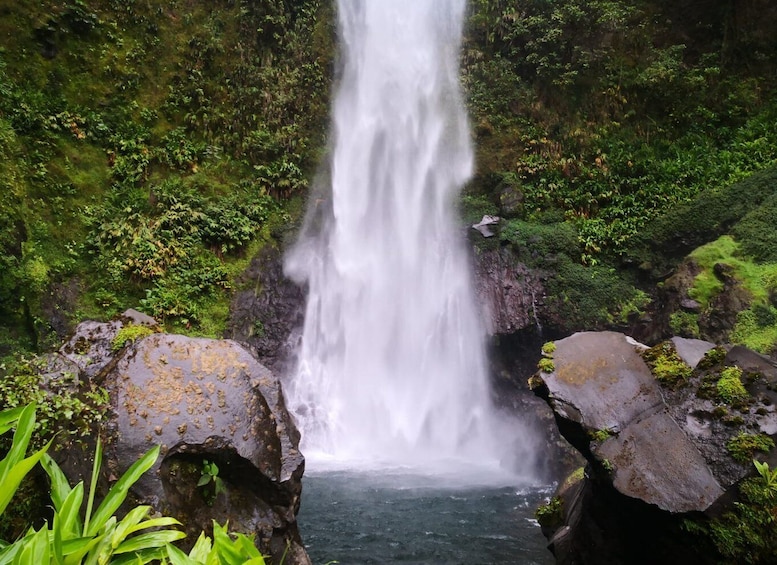 Picture 8 for Activity Irazú Volcano & Turrialba Volcano & Orosi Valley Day Tour