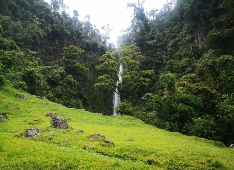 Picture 7 for Activity Irazú Volcano & Turrialba Volcano & Orosi Valley Day Tour