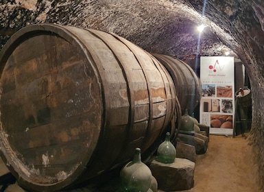 4 wineries, Comprehensive Ribera Del Duero WineTour
