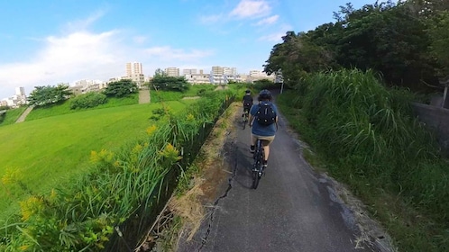 Shuri+Naha: Cycling Tour Explore Water Heritage with E-Bike