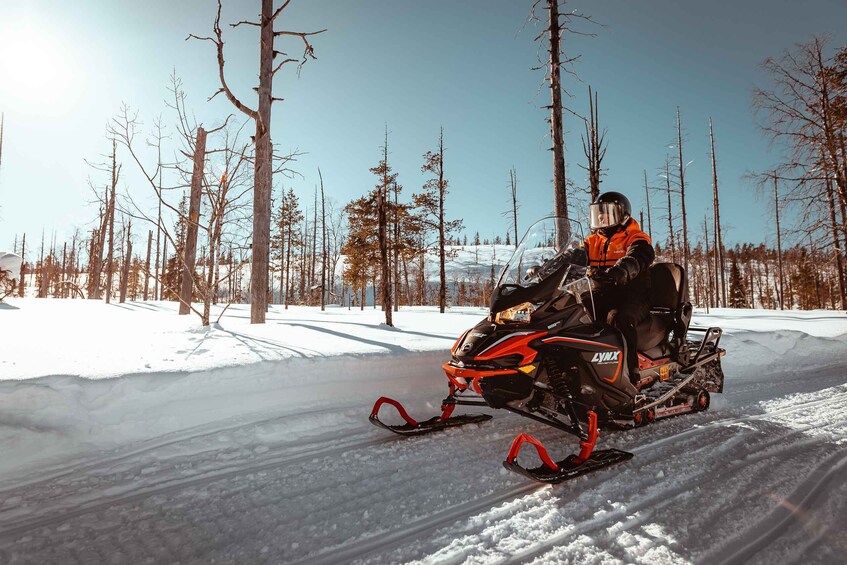 Saariselkä: Snowmobile Adventure for Adults